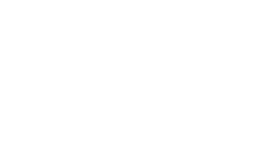Indy Biz Logo